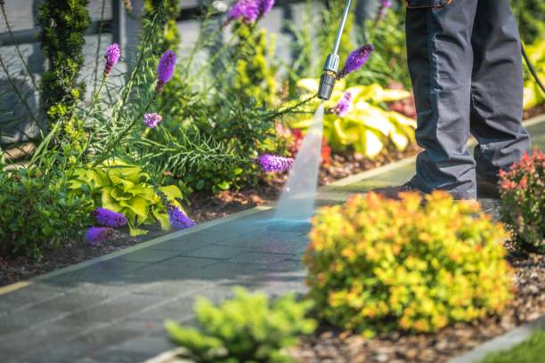 Best Gas Station Cleaning  in Westmont, PA